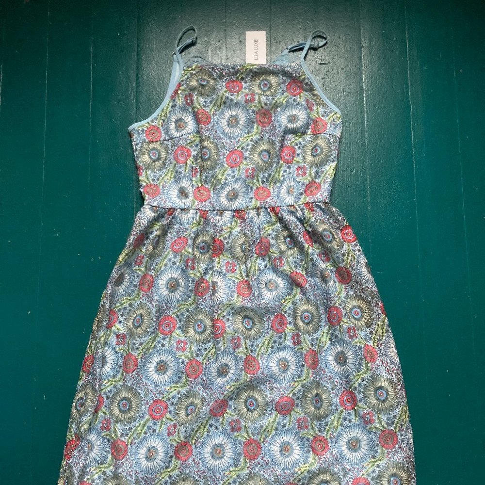 Liza Luxe camisole dress from Modcloth